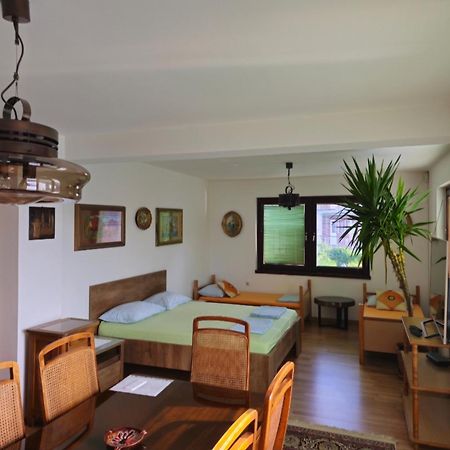 Peaceful Vacation Villa & Garden Сараево Экстерьер фото